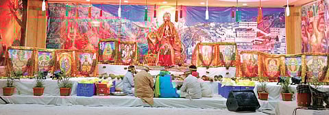 The resilient lionhearts