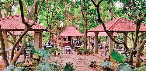 Bangalore University is using 10 acres of land to create a green area
