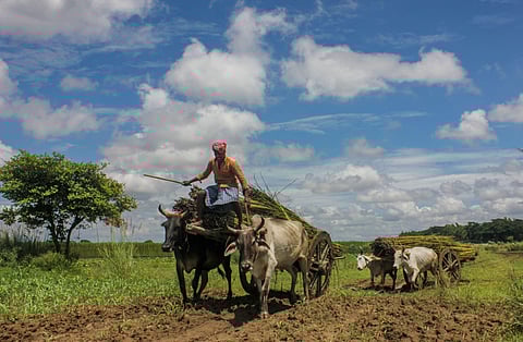 Image of farmer used for representational purpose only. (Photo| PTI)