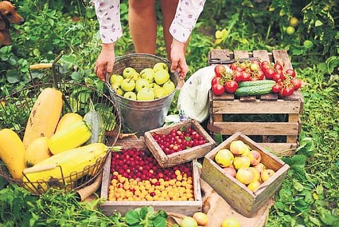 Get creative with your organic-lifestyle shift