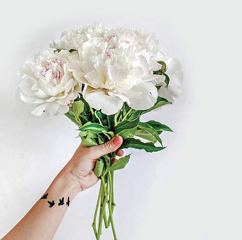 Elegies on skin, not your regular tattoo