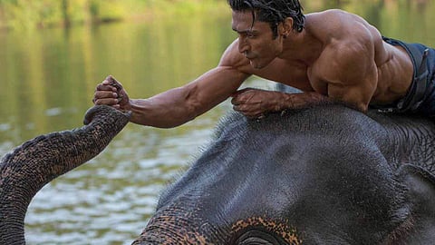 A still from Vidyut Jammwal-starrer 'Junglee'.