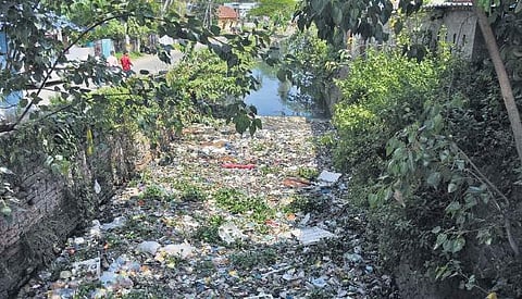 Waste dumped in Parvathy Puthanar  B P Deepu
