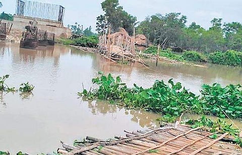 The bamboo bridge that caved in at Milanaboda | Express