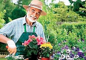 For representational purposes