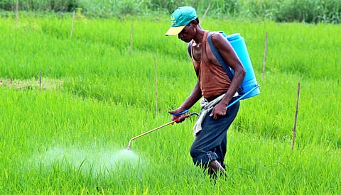 For representational purposes (Photo | EPS)