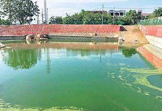 One of the immersion ponds found to be highly contaminated | Express