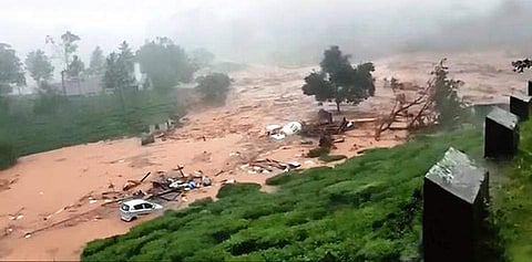 Nearly half of Wayanad’s tourism constructions illegal: Government study