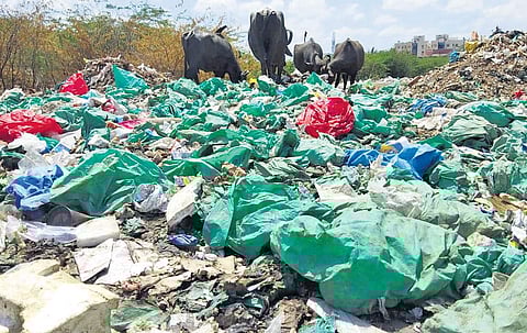 Biomedical waste found on the banks of Adyar River near Tiruneermalai recently | Express