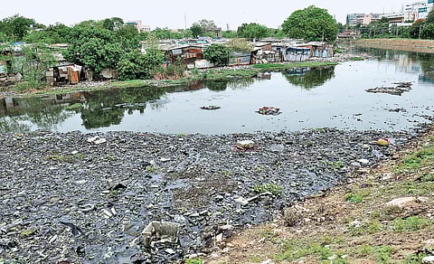 Cooum river  D Sampathkumar