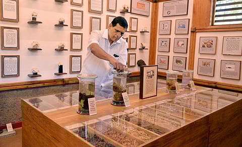 Image of an Ayurveda museum used for representational purpose (File Photo | Vincent Pulickal, EPS)