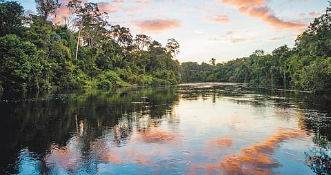 The Nile has such a pivotal place in human history, the Mississippi unites and connects nearly two-thirds of America and the Amazon is the greatest river on Earth.