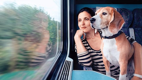 On track: Easy rail travel with your pet
