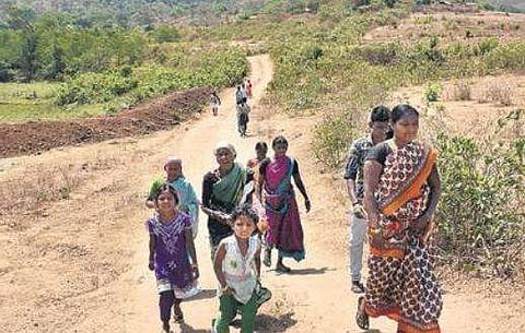 10,656 claims wrongly rejected under Forest Rights Act in TN