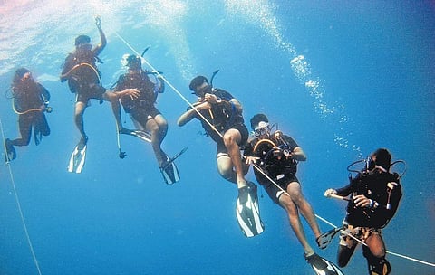 A group of divers off the Kovalam coast; a view of the artificial reefs deployed in Kovalam | venkatesh p