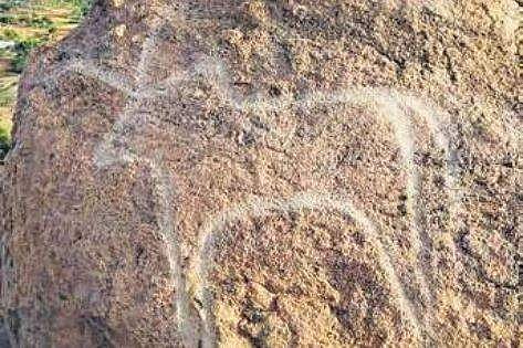 The petroglyph in Dharmapuri shows a bull figure | Express