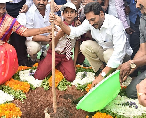 CM Jagan planting a sapling as part of Vana Mahotsavam in Medikonduru mandal of Guntur district on Saturday. (Photo | EPS)