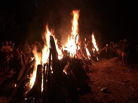 Image for representation (File photo | EPS)