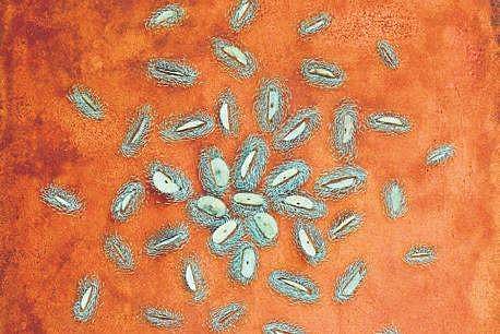 Art work Distant Cloud ( Photo |EPS)