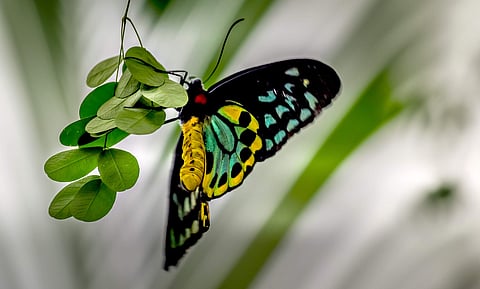 Image used for representational purpose only