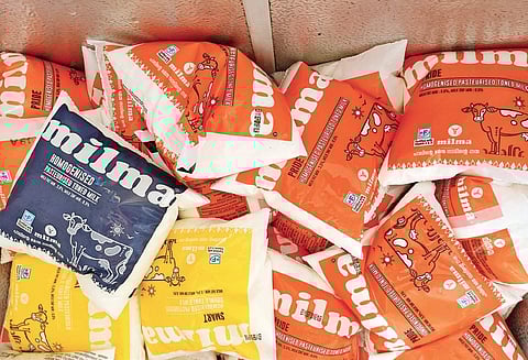 Project Green Belt: Saving Kochi’s mangrove cover, one sapling at a time