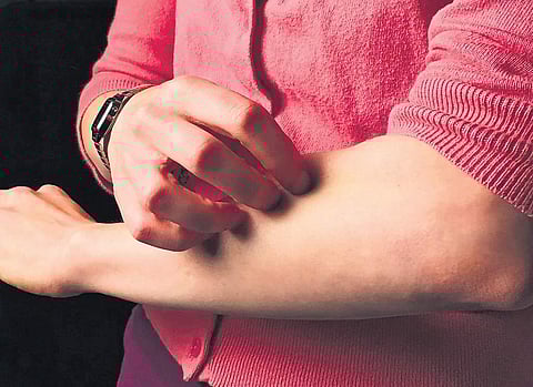 For representational purposes (Express Illustrations)