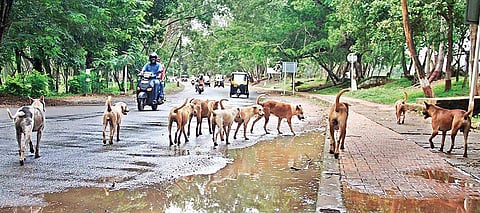 Pic for representational purpose