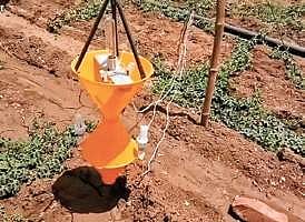 light trap systems in crop fields in Sambalpur (Photo |EPS)