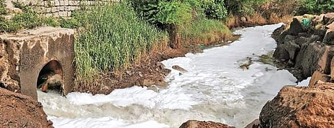Naya Qila channels froth with polluted water coming from Shah Hatim Talab. (Photo | EPS)
