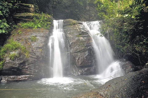 The Mankayam waterfalls