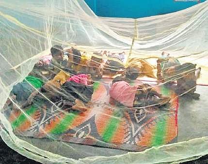 Children sleeping inside mosquito net.