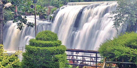 Pics Vincent Pulickal