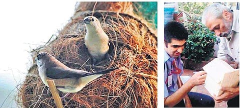 The sparrow nests are made of eco-friendly material such as jute, bamboo and coconut. | ( Photo | EPS )