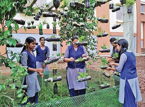 Students tending to the garden at the Horticulture College in Sirsi I Express