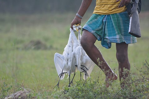 Representational image (Photo | EPS)