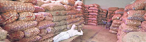 A labourer rests near sacks of onion at the Azadpur Mandi, a major market of the Agriculture Produce Marketing Committee, in New Delhi on Sunday. | (Arun Kumar | EPS)