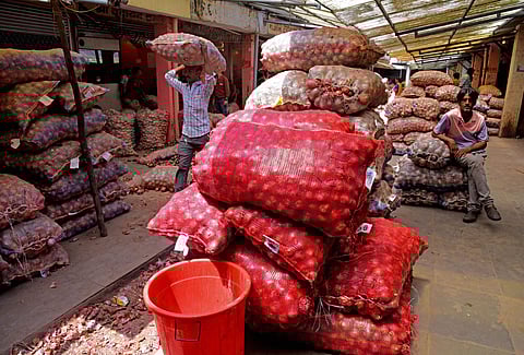Image of Onions used for representational purpose only. (Photo| PTI)
