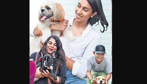 They let the dogs out