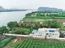 Former CM  Chandrababu Naidu's alleged illegal residence (Photo |EPS)