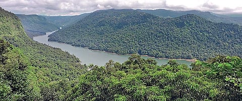 Sharavathi sanctuary