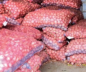 Onion stocks in Krishna district especially in Vijayawada were in surplus.  ( Photo | EPS )