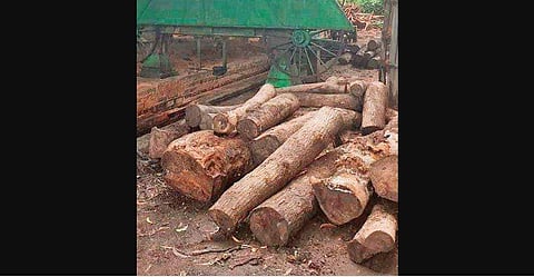 On the directions of the SP, a special police team conducted raids at several places and sealed three units at Bhograi and one at Baliapal block. 