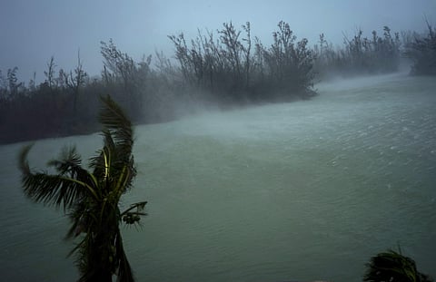 Strong winds from Hurricane Dorian blow the tops of trees and brush while whisking up water from the surface of a canal that leads to the sea, located behind the brush at top, seen from the balcony of a hotel in Freeport, Grand Bahama, Bahamas. (Photo | A