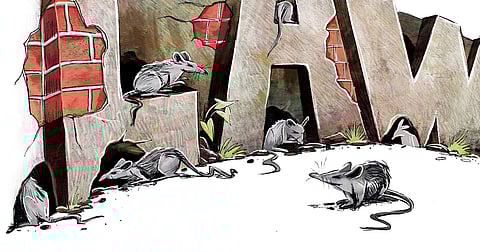 Lawbreaking our national pastime