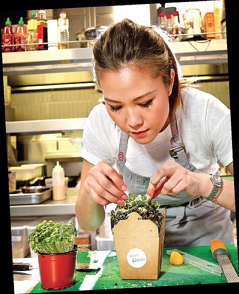 The mistress of spices