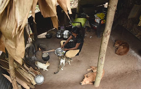 Sobhana in the makeshift shanty erected near the remains of her house destroyed by the wild tusker| B P Deepu