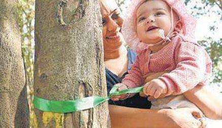 In a first, health report card of all trees in Bengaluru proposed in census