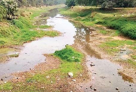 Flow of water in Gobari river has reduced| Express