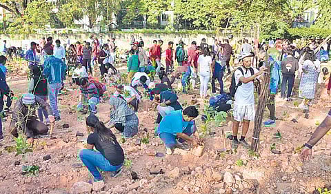 Koti Vriksha drive starts with Ulsoor Lake