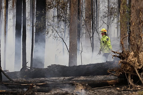 Forestry Corporation worker Holly James keeps an eye on a controlled fire set to help build a containment line at a wildfire near Bodalla, Australia. (Photo | AP)